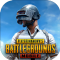 PUBG M(国际服)地铁逃生下载 - 火爆枪战射击手游体验