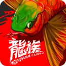龙族APP：龙鱼爱好者的专业知识库与饲养指南